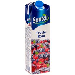 Santal Suc De Fructe Rosii 1l