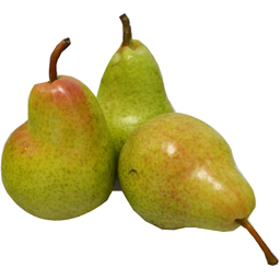 Pere Wlliams/Guyot, import