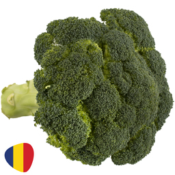 (vrac) Broccoli