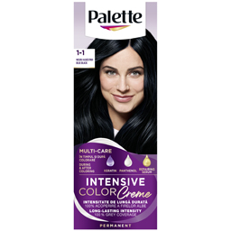 Palette Vopsea Pentru Par C1 Negru Albastrui