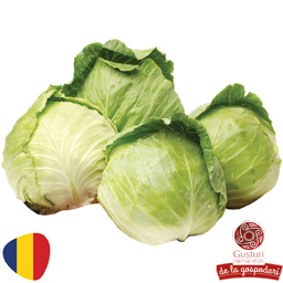 Gusturi Romanesti Varza Alba