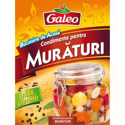 Galeo Condimente Pentru Muraturi 20g