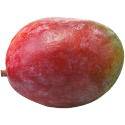 Mango copt in copac