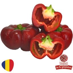 Gusturi Romanesti Gogosari
